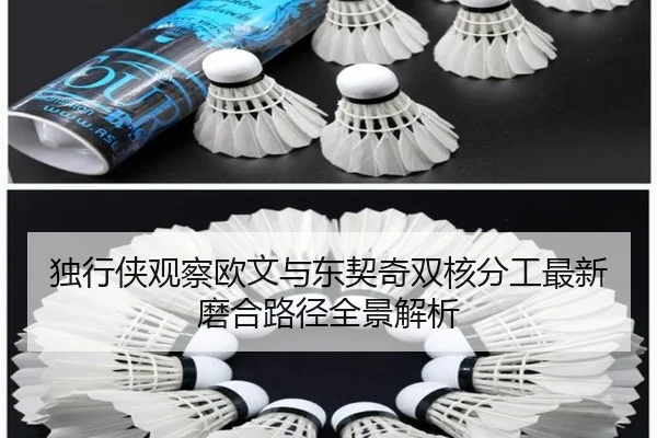 独行侠观察欧文与东契奇双核分工最新磨合路径全景解析